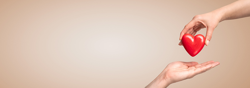 helping hands holding heart art